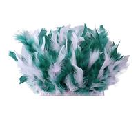 Uposao Ribete de plumas de pavo de 2 m de marabú, falda de vestido de plumas, accesorio de decoración de plumas para decoración del hogar, bricolaje, disfraces, manualidades, costura, vestido de