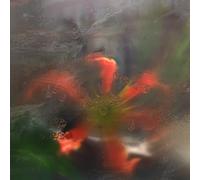 Upsammy - Germ In A Population Of Buildings [Vinilo]