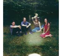 UPSTATE YOU ONLY GET A FEW (Importación USA) VINYL LP NUEVO