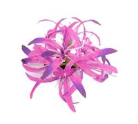 Uqezagpa Elegantes diademas grandes de flores Bianan para mujeres y niñas, delicadas diademas con clip lateral