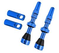 Uqezagpa Tubeless Value Stem - Kit de válvulas para bicicletas de 60 mm con herramienta de extracción de núcleos de valor integrada y tapas para bicicleta
