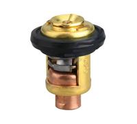 UQXJK Reemplazo de termostato 60° Compatible con Modelos 2.5HP 4HP 8HP 15HP 30HP 40HP 50HP 60HP 70HP 80HP 66M-12411-00 66M-12411-01-00 6G8-12411