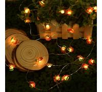 URAQT Guirnaldas Luces Champiñón,2 PCS Cadena de Luces de Hongos,3 meter 30LED luz blanca cálida luces de champiñón alambre de cobre,funciona con pilas,para Jardín,Terraza, Navidad,Interior y Exterior