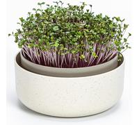 Urbalive - Cuenco Grande de 16 cm para brotes, Semillas, microgreens - Diseño colador de plástico - Germsprossenbox germinador con Mezcla de café