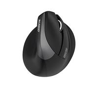 Urban Factory Ratón Inalámbrico Ergo Pro 4000 dpi Negro