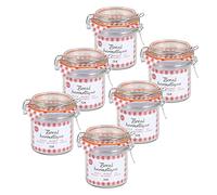 Urban living CONSERVACIÓN VICHY TARRO HERMÉTICO CON CLIP 250ML