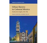 Urban Slavery in Colonial Mexico: Puebla de los Ángeles, 1531-1706: 109 (Cambridge Latin American Studies, Series Number 109)