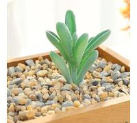 UrbanHui Lotus suculento artificial flocado, decoración de jardín respetuosa con el medio ambiente, para el hogar, la oficina y proyectos de bricolaje, PVC resistente + material de polietileno (MM008