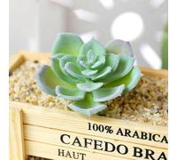 UrbanHui Lotus suculento artificial flocado, decoración de jardín respetuosa con el medio ambiente, para el hogar, la oficina y proyectos de bricolaje, PVC resistente + material de polietileno (MM357