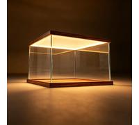 UrbanUp Urna Metacrilato Vitrina Rectangular con Luz LED Integrada, Vitrina Grande de Acrílico Transparente, Caja de Decoración de Escritorio a Prueba de Polvo y de Pie.(15x25xH20cm/6x10x8)