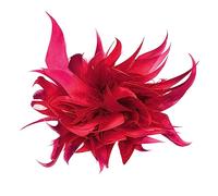 URFEDA Broche vintage de plumas, broche de plumas esponjosas naturales para mujeres y niñas, broche elegante con plumas de avestruz, para bodas, fiestas, cumpleaños, accesorios de joyería, Pluma