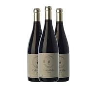 Uribes Madero Classic Vino de Pago Calzadilla Crianza 75 cl Vino tinto (Caja de 3 Botellas de 75 cl)