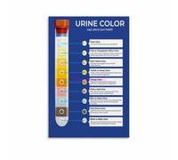 Urine Analysis Poster Color Guide Health Warning Signs Chart | Links clear yellow amber red brown and green to specific causes(Unframed,16x24inch(40x60cm))