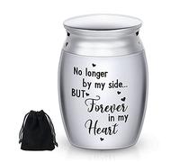 Urna de Cremación Conmemorativa de Acero Inoxidable - Porta Cenizas Mini de Metal para Mascota y Humana - No Longer by My Side, but Forever in My Heart