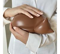 Urna funeraria Mi Gato Di Amore, urna con Forma de Gato Durmiente, urna Conmemorativa de Cenizas de Gato, urna Rojo, Naranja, Atigrado, Cervatillo para Gato Durmiente, Memorial para Mascotas (Marrón)