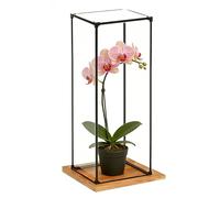 Urna Metacrilato Vitrina Extra Alta y Estrecha de Acrílico para Trofeos, Cajas Transparentes para Exhibir Coches en Miniatura, Cristales Artículos Colección, Cubierta(20x25xH35cm/8x10x14")