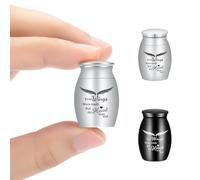 Urna para Cenizas humanas, pequeñas urnas de cremación para Cenizas, urnas de cremación para Cenizas humanas o Mascotas conmemorativas 2 Juegos (Your-Silver-Black)