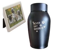 Urnas de cremación de Recuerdo,Pequeñas urnas de Recuerdo de Acero Inoxidable para Cenizas | Metal Duradero Que comparte la urna funeraria Personal para Gatos domésticos y Perros Cenizas humanas