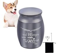urnas de recuerdo para mascotas, Pequeñas urnas de recuerdo para cenizas de mascotas, urnas de cremación de acero inoxidable para cenizas Pet Memorial Ashes Urn Memorial Ashes Holder para gatos y perr