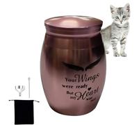 Urnas funerarias para Mascotas - Pequeñas urnas de Recuerdo para Cenizas humanas - urnas de cremación de Acero Inoxidable para Cenizas Pet Memorial Ashes Urn Memorial Ashes Holder para Gatos y Perros