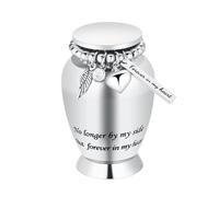 Urnas pequeñas para cenizas humanas, urna de cremación para cenizas humanas con dije de alas, mini urna funeraria personal para mascotas (alas pequeñas plateadas)