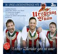 Ursprung Buam - A Echter Zillertaler Geht