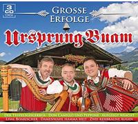 Ursprung Buam - Grosse Erfolge
