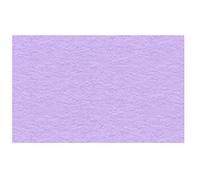 Ursus 3774660 Cartulina fotográfica DIN A4, 300 g/m², 50 Hojas, Color Lila, Lilac