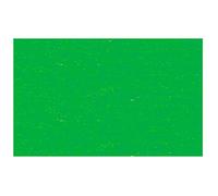 Ursus - Cartulina fotográfica, DIN A4, 300 g/m², Color Verde