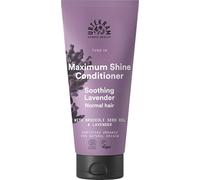 Urtekram Acondicionador de Pelo Soothing Lavender, Normal 180 ml | COSMOS ORGANIC certificado por Ecocert Greenlife; Con aceite de brócoli; deja el cabello suave y fácil de peinar