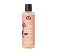 Urtekram Champú Nordic Berry, Pelo Normal o Seco 250 ml | COSMOS ORGANIC certificado por Ecocert Greenlife; Con aloe vera y mora ártica; ayuda a recuperar suavidad y brillo