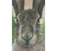 US Academic diary 2025-2026 week to view, with Hare artwork by Sally Sturgess: 108 pages and glossy cover. Perfect gift for student or hare lover