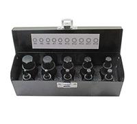 US PRO Industrial 1366 - Juego de llaves de vaso (10 piezas)