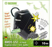US1 Cats + Birds