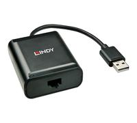 Lindy Hub de interfaz USB 2.0 42679 Negro
