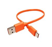 USB C Cable de Carga 25cm para JBL Charge 4/5, Charge 6, Flip 5/6,Flip 7, Pulse 4, Pulse 5, Clip 4, Clip 5, JR POP, GO 4, Xtreme 3, Tipo C Cable Carga para Altavoces Bluetooth Inalámbricos Auriculares