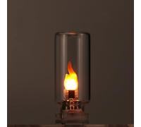 USB Flame Ambiance Light, Dynamic Flickering Mood Nightlight, Portable Mini Glass Bottle LED Bulb, USB Powered Lighting for Vehicle, Bedroom, Parties, Gaming & Camping (Transparent)