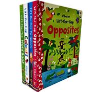 Usborne Lift the Flap Collection 4 Books Set by Felicity Brooks (Lift the Flap Word Book, Lift the Flap Colours Book, Lift-the-Flap Opposites, Lift-the-Flap Number)