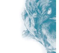 Use of Ashes - Ice [Vinilo]