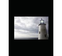 Useless Facts You Didn’t Know You Didn’t Need: useless, weird, random, and fun facts that will do nothing to improve your life