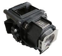 USHIO lámpara proyector para EPSON ELPLP62, V13H010L62 con carcasa codalux