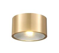USMJQVZ Foco de Techo LED Interior 3W, 5W, 7W, 9W Foco empotrable de latón Cepillado Dorado, Foco de Techo LED nórdico Moderno Montaje Empotrado para Sala de Estar Dormitorio