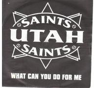 Utah Saints - What Can You Do for Me [Vinilo]