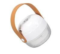 UTHCLO 1pieza Removedor Eléctrico De Pelusas Portátil Usb Quitapelusas Para Ropa Cuidado De Prendas Para Hogar y Tiendas Elimina Lint y Bolas De Pelo Sin Dañar Textiles