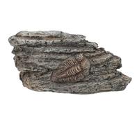 UTHCLO Adorno de Trilobite Paleontológico de Resina, Espécimen Pequeño para Decoración Científica y Enseñanza, Accesorio para Coleccionismo y Paisaje de Terrario, Fósil Decorativo Seguro