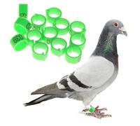 UTHCLO Anillos de Identificación Color Verde 100 Apertura Fácil Plástico Resistente para Identificación y Cría de Aves para Patas de Loro y Periquito