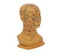 UTHCLO Modelo de Cabeza de Acupuntura Color Cobre para Masajes Faciales Puntos de Acupuntura para Enseñanza Cabeza