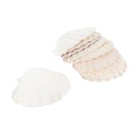 UTHCLO Plato de Conchas Marinas Naturales Blanco para Decoración Marinera y Fotografía, Diseño Multiuso 10 Piezas de Conchas para Manualidades y Exhibición