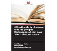 Utilisation de la biomasse dans les groupes électrogènes diesel pour l'électrification rurale