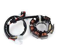 UTJUYFCGF Bobina del Estator del Magneto del Generador del Motor De La Motocicleta para TTR90 TT-R90 TTR 90 2000-2007 5HN-85510-00 5HN-85510-01 5HN-85510-10